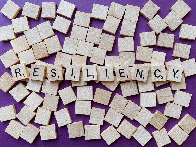 O que é RESILIÊNCIA?