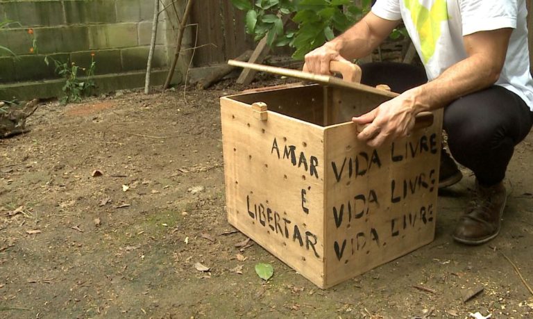 Tráfico de animais é tema do Caminhos da Reportagem na TV Brasil