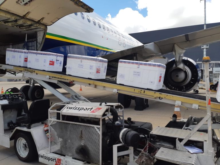 Minas recebe 542.550 novas doses de vacinas contra covid-19