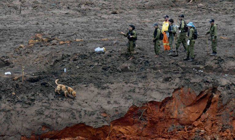 Cidades atingidas por tragédia de Brumadinho apresentam mais de 3 mil propostas de projetos para reparação