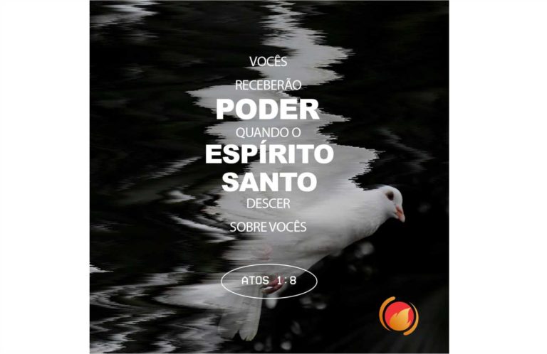 Alimento diário: uma reflexão para o seu dia!