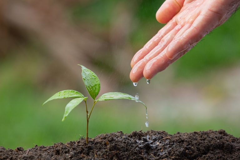 Confira programação da Semana do Meio Ambiente em Itabira