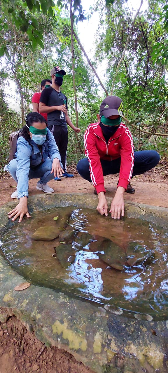 Dia Mundial do Meio Ambiente: plantio de árvores e caminhada por trilhas ecológicas marcam a data em Itabira