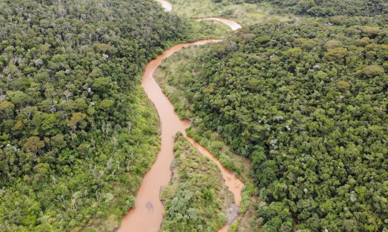 Fundação Renova restaura áreas atingidas por rompimento de barragem em Minas