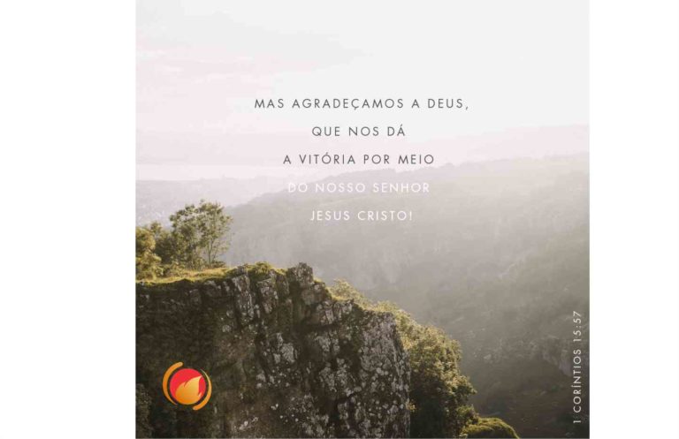 Alimento diário: uma reflexão para o seu dia!