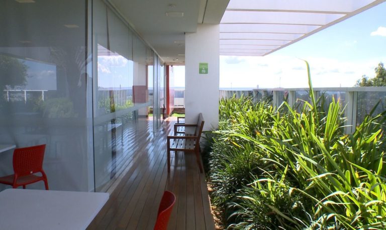 O Caminhos da Reportagem aborda neste domingo a arquitetura verde