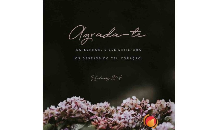 Alimento diário: uma reflexão para o seu dia!