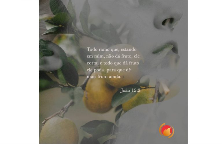 Alimento diário: uma reflexão para o seu dia!