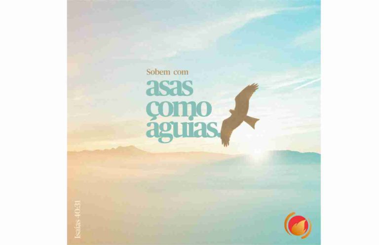 Alimento Diário: Uma reflexão para o seu dia!