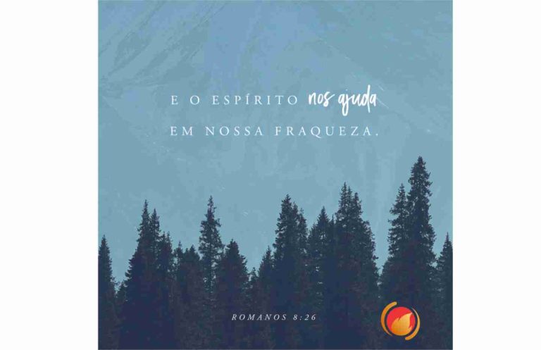 Alimento Diário: Uma reflexão para o seu dia!