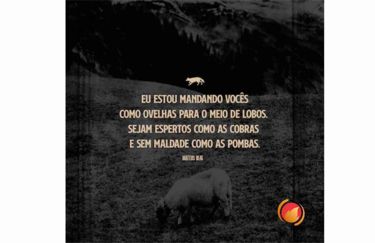 Alimento Diário: Uma reflexão para o seu dia!