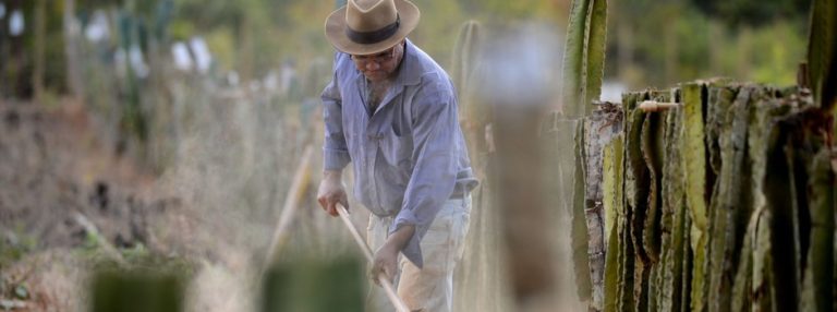 Inscrições para o Programa de Regularização Fundiária do Governo de Minas são prorrogadas até 29/11
