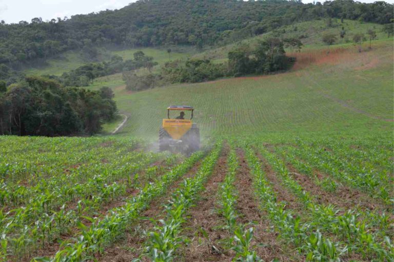 Prefeitura de São Gonçalo vai produzir mais de mil toneladas de silagem