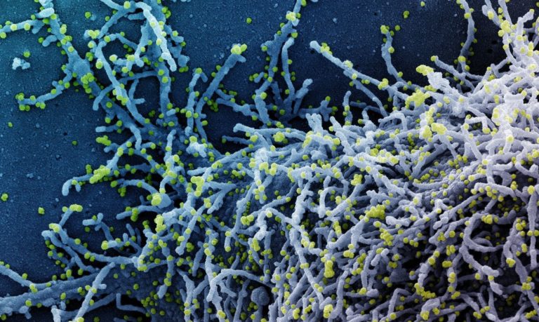 Com variante do coronavírus, Europa e Ásia reforçam fronteiras