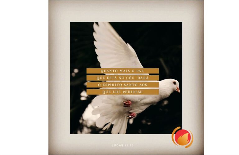 Alimento Diário: Uma reflexão para o seu dia!