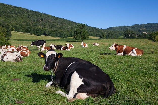 Patrulha Agrícola abre inscrições para o primeiro semestre de 2022