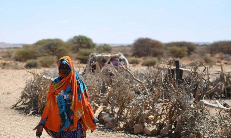 África Ocidental enfrenta catástrofe alimentar, dizem ONGs