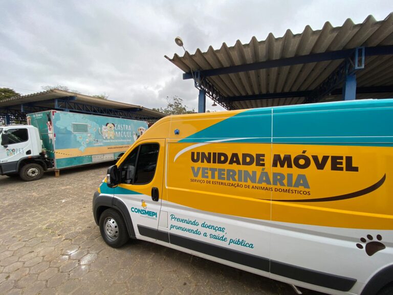 Secretaria de Saúde abre cadastro para castração de cães e gatos no município   