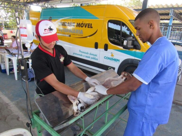 Itabira promove novo mutirão de castração e estima esterilizar e chipar mais 420 animais