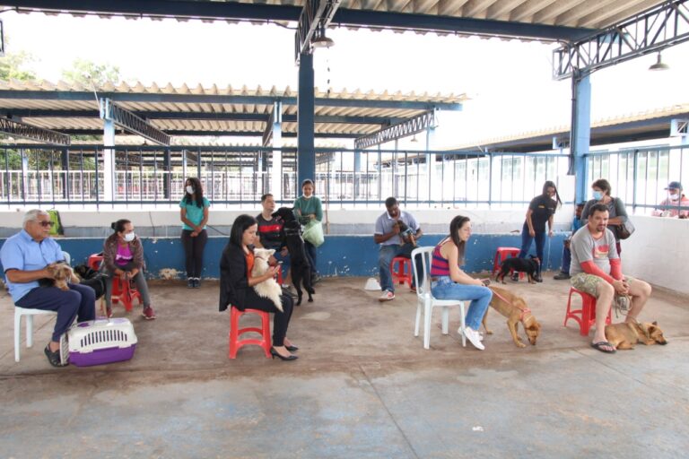 Itabira segue com mutirão de castração no intuito de controlar população de animais no município