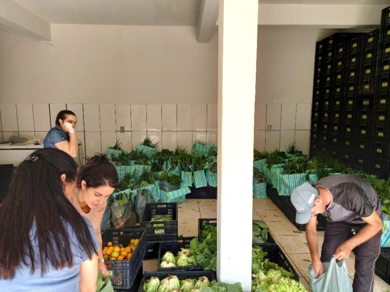 Minas lança edital inédito para fomento a Bancos de Alimentos municipais