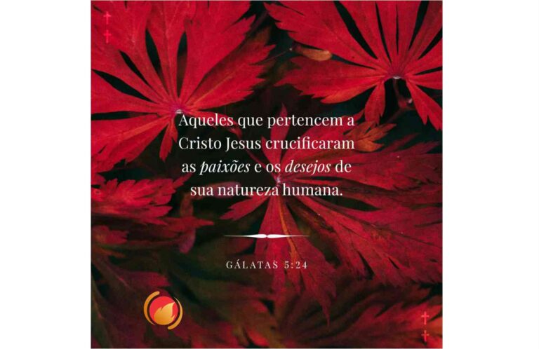 Alimento Diário: Uma reflexão para o seu dia!