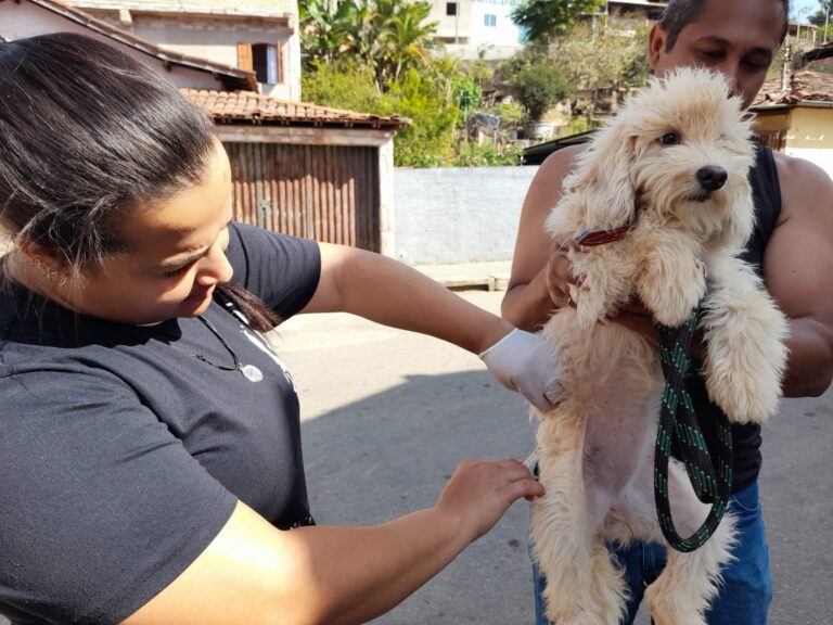 Vacinação de cães e gatos tem boa adesão em São Gonçalo do Rio Abaixo