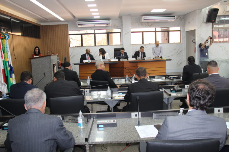 Vereadores aprovam projetos que garantem os direitos das gestantes em Itabira