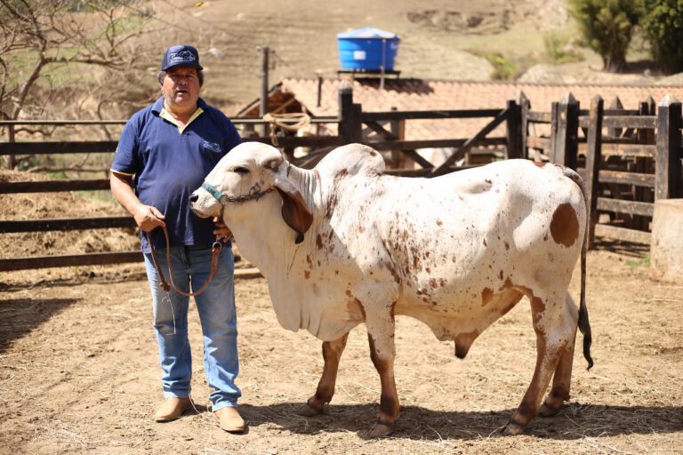 Sindicato Rural e Prefeitura esperam 500 animais no retorno da Expoita