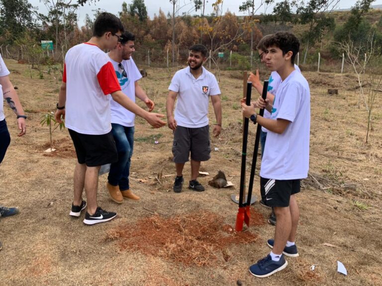 Plantio de mil árvores dá mais vida à entrada de Itabira