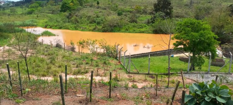 RECONSTITUIÇÃO DA FLORA Saae planta mais de 600 mudas de árvores na região da ETA Pureza