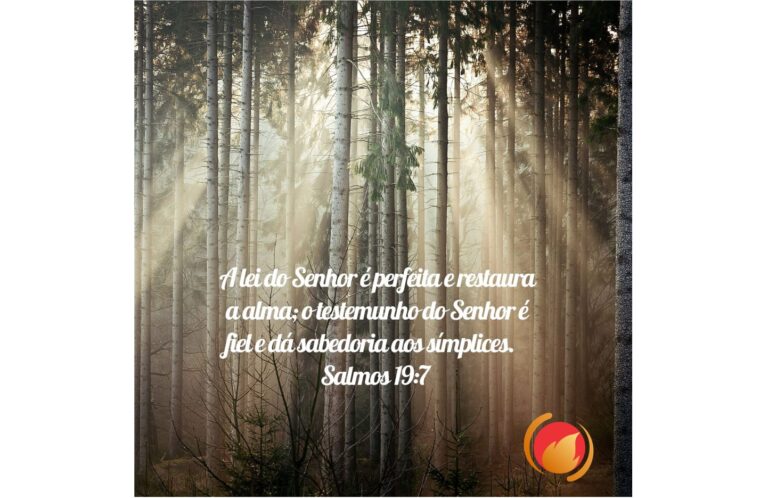 ALIMENTO DIÁRIO Alimento Diário: uma reflexão para o seu dia!