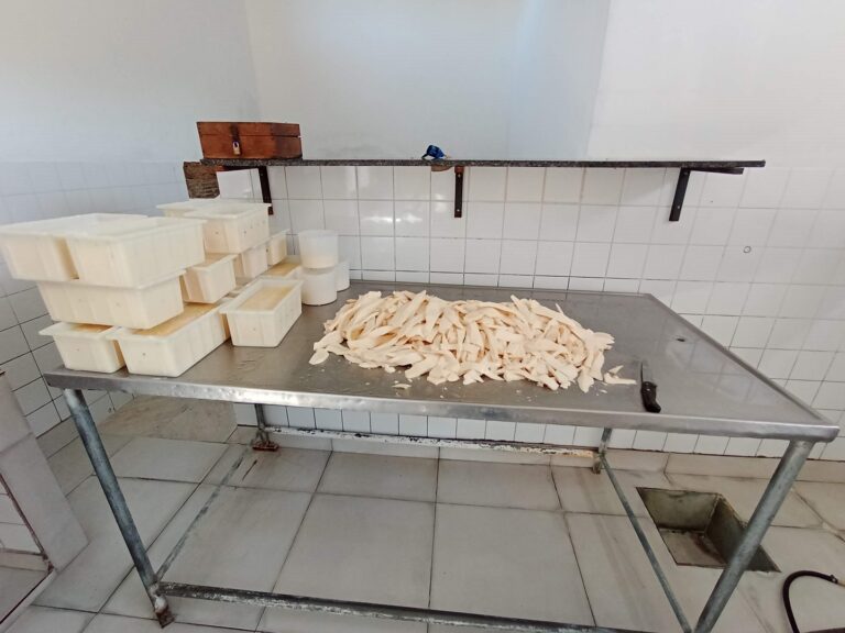 Dia dos Queijos Artesanais de Minas Gerais: Estado trabalha para reconhecimento do Queijo Cozido