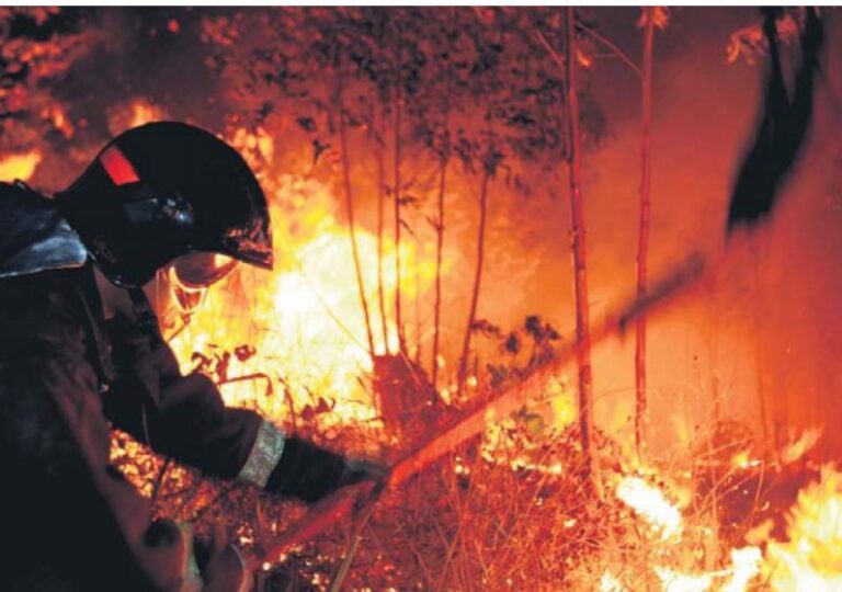 Cemig alerta para cuidados com relação à rede elétrica durante festas juninas