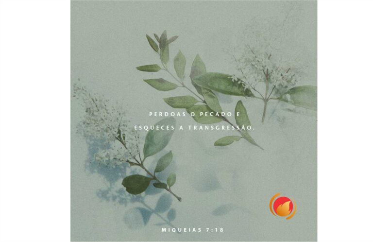 ALIMENTO DIÁRIO Alimento Diário: uma reflexão para o seu dia!