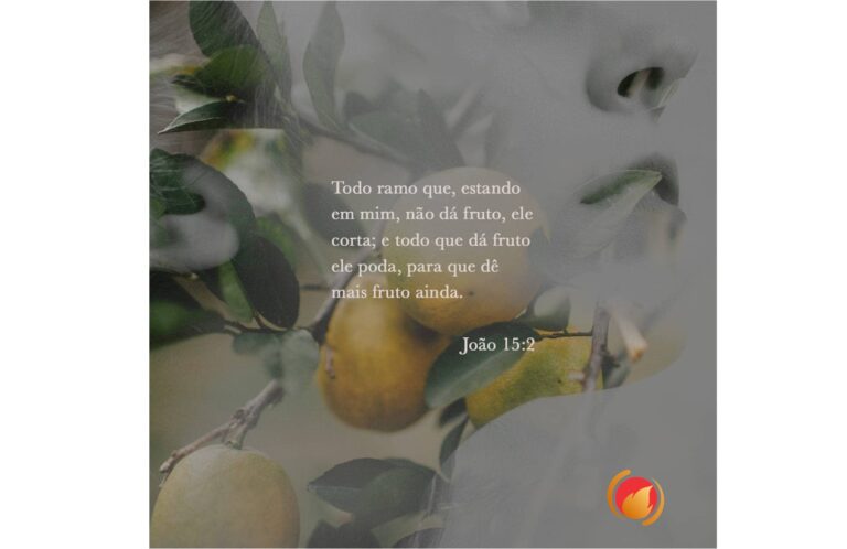 ALIMENTO DIÁRIO Alimento Diário: uma reflexão para o seu dia!