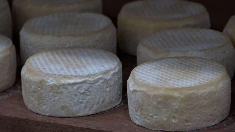 Investimento do Governo em pesquisas valoriza o queijo mineiro, garante qualidade e melhora a renda das famílias