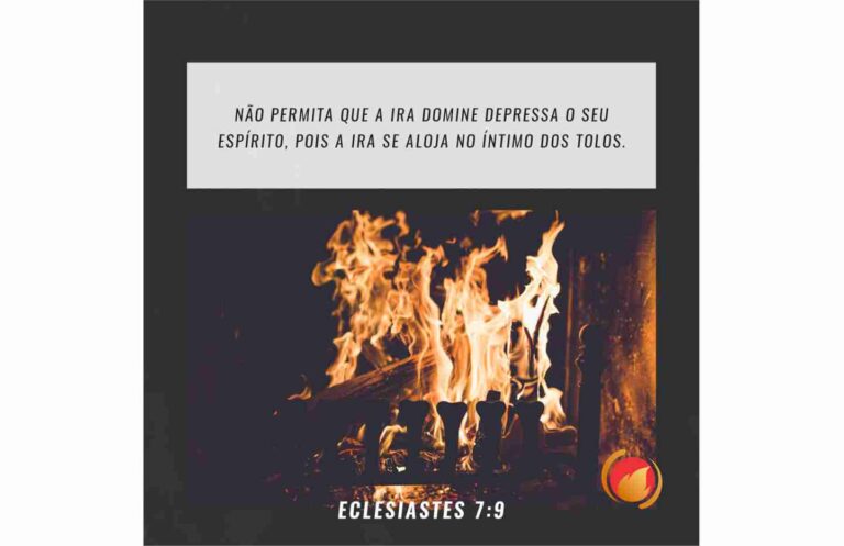 ALIMENTO DIÁRIO Alimento Diário: uma reflexão para o seu dia!