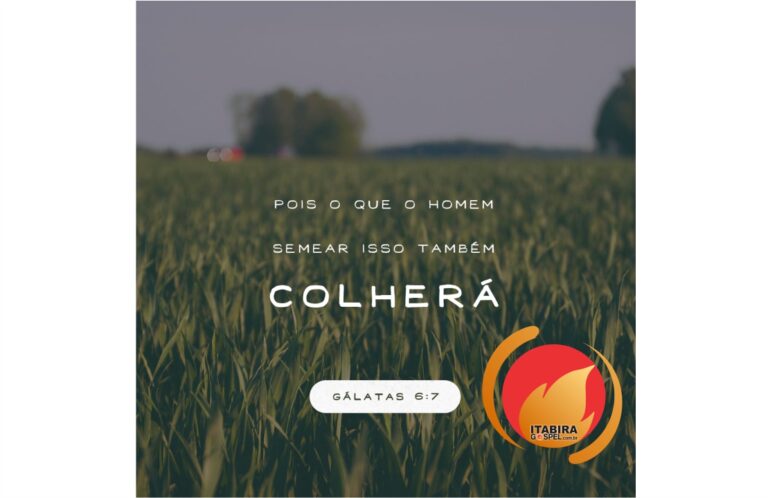 ALIMENTO DIÁRIO Alimento Diário: uma reflexão para o seu dia!