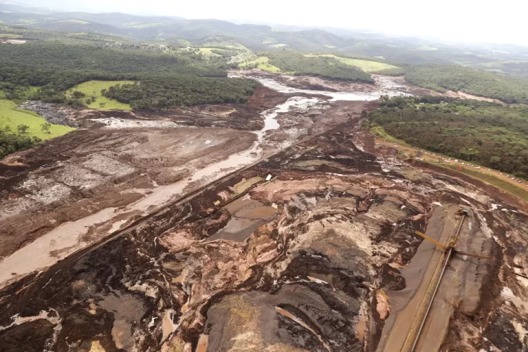 Reparação ambiental: conheça ações previstas no Acordo de Reparação ao rompimento das barragens da Vale, em Brumadinho