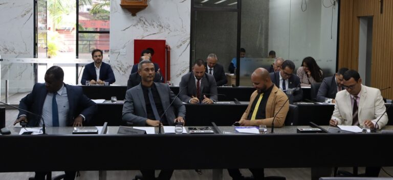 Projetos que objetivam o combate e prevenção à dengue são aprovados em sessão plenária da Câmara