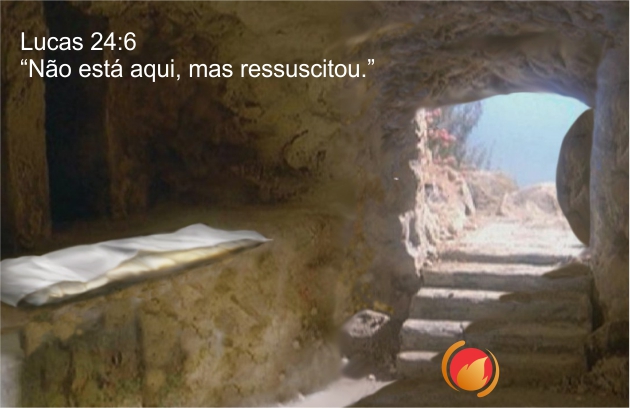 Alimento Diário: uma reflexão para o seu dia!