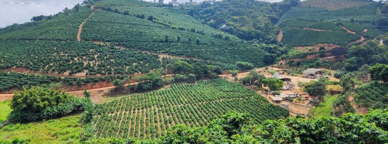 Exportações do agro mineiro batem novo recorde no período de janeiro a abril