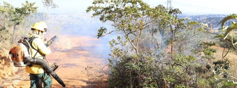Minas adota prevenção a incêndios florestais como prioridade e se antecipa ao período seco