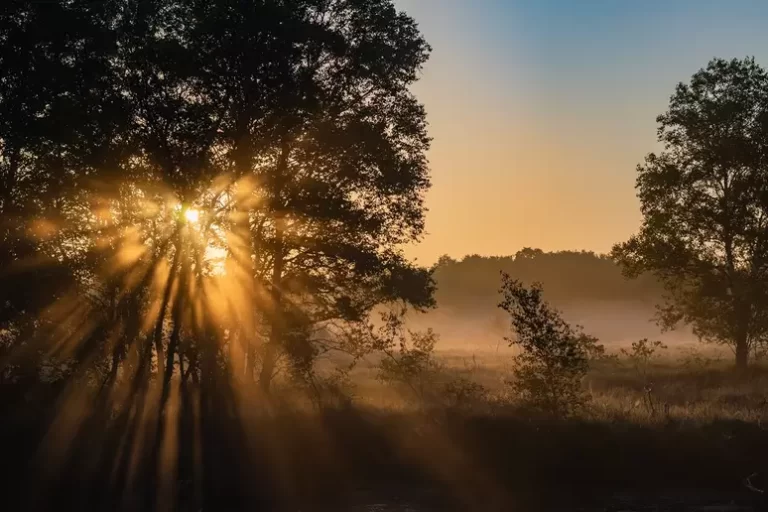 Fonte de Vida: Esperar em Deus