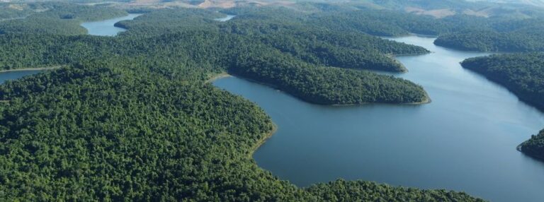 Parque Estadual do Rio Doce completa 80 anos celebrando a preservação ambiental em conexão com a comunidade