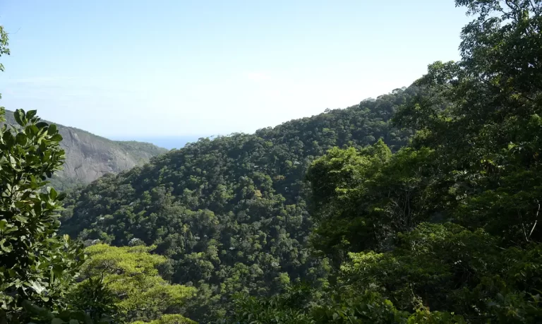 Propostas para o Plano Clima serão debatidas nos biomas brasileiros