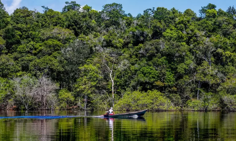 Hepatite Delta avança entre ribeirinhos no Amazonas