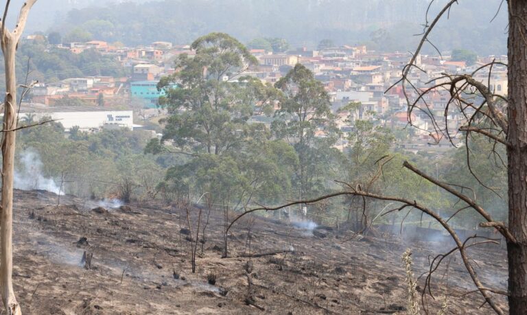 Estado de São Paulo amanhece com 11 focos de incêndio