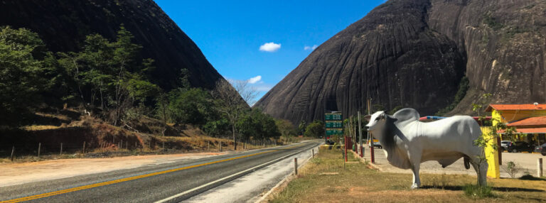 Governo de Minas conclui recuperação funcional da Rodovia do Boi